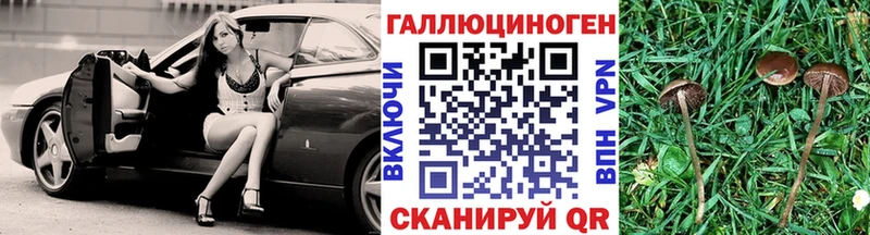 закладка Тотьма Галлюциногенные грибы мицелий